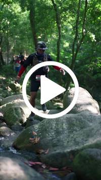 BIB:  <button type="button" onclick="openModal(28052492)" class="btn btn-primary btn-sm float-right" data-toggle="modal" data-target=".modal-high-quality">
                <i class="fa fa-download"></i> Download
                </button>